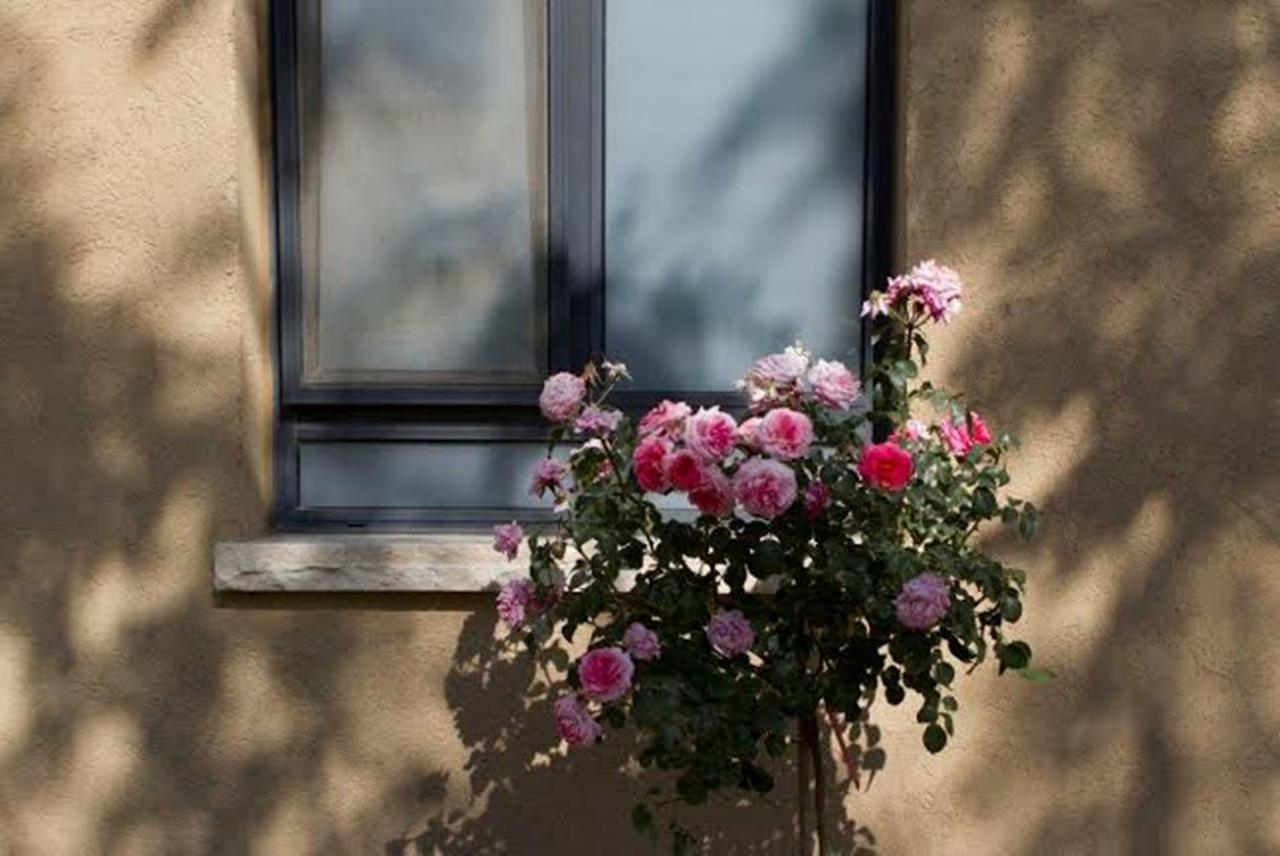 Zimmer You Dreamed Of Arad Exterior foto